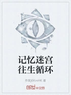 记忆迷宫往生循环在线阅读