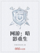 网游:暗影重生在线阅读