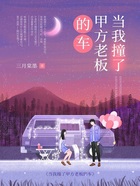 当我撞了甲方老板的车在线阅读