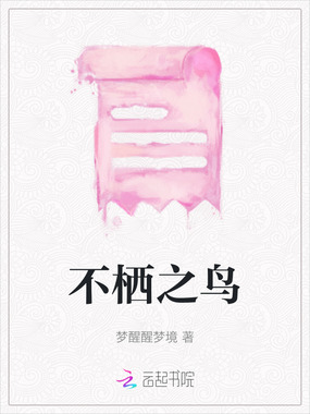 不栖之鸟在线阅读