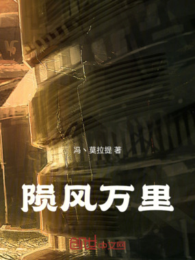 陨风万里在线阅读