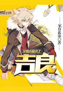 宠物小精灵之吉良