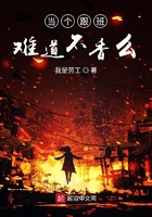 孤独镖客在线阅读