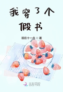 我穿了個假書