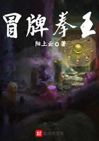 冒牌拳王在線閱讀