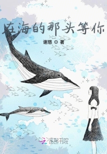 在海的那頭等你