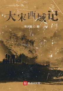 大宋西域記