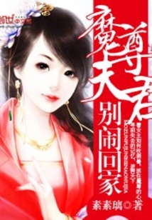 魔尊夫君別鬧回家
