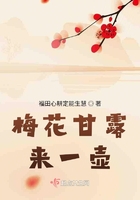 梅花甘露来一壶