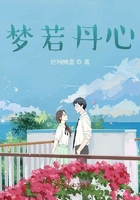 夢若丹心在線閱讀