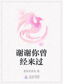 謝謝你曾經(jīng)來(lái)過(guò)