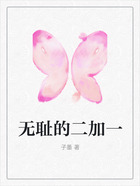 无耻的二加一