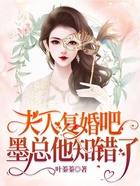 夫人复婚吧，墨总他知错了在线阅读