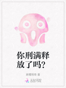 你刑滿(mǎn)釋放了嗎?