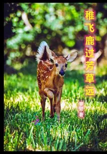 The Pheasant Flies over the Grass and the Deer is Far Away