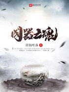 国器之魂在线阅读