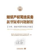 知识产权司法实务新型疑难问题解析：专利、商标与著作权热点问题