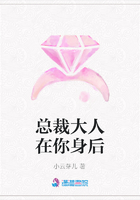 總裁大人在你身后在線閱讀