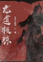 龙道极琼在线阅读