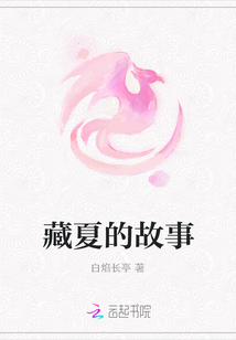 藏夏的故事