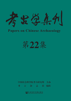 考古学集刊（第22集）在线阅读