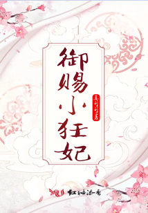 御賜小狂妃
