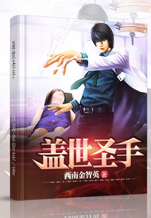 蓋世圣手