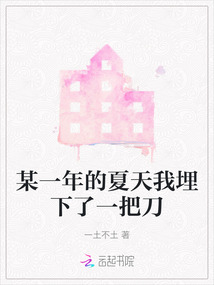 某一年的夏天我埋下了一把刀