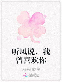 聽風說,我曾喜歡你