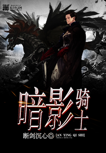 暗影骑士 cover