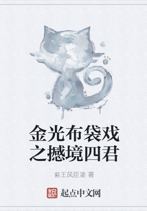 金光布袋戏之撼境四君