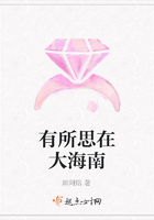 有所思在大海南在線閱讀