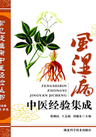 风湿病中医经验集成:常见疑难病中医经验丛书
