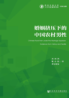 婚姻挤压下的中国农村男性（西安交通大学人口与发展研究所·学术文库）在线阅读