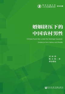 婚姻擠壓下的中國(guó)農(nóng)村男性(西安交通大學(xué)人口與發(fā)展研究所·學(xué)術(shù)文庫)