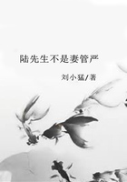 陸先生不是妻管嚴在線閱讀