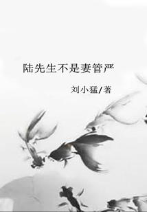 陸先生不是妻管嚴