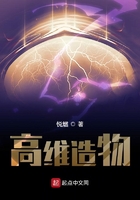 高維造物在線閱讀