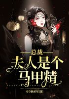 总裁,夫人是个马甲精在线阅读