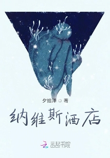 納維斯酒店
