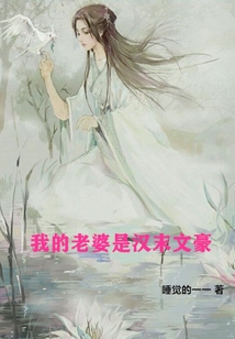 我的老婆是漢末文豪