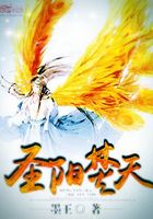 圣陽焚天在線閱讀