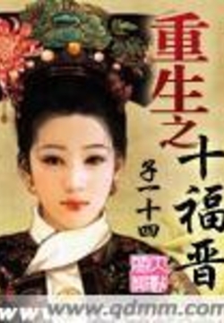 重生之十福晋 封面