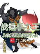 战锤手办王,从收藏圣吉列斯开始在线阅读