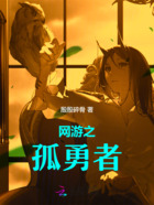 网游之孤勇者在线阅读