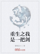 重生之我是一把剑在线阅读