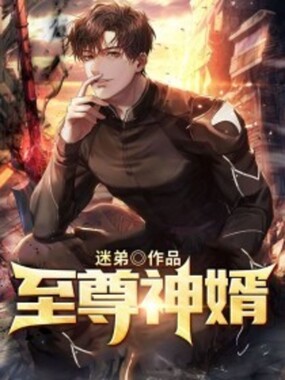 至尊神婿在线阅读