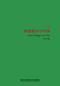 海德格尔与中国 封面