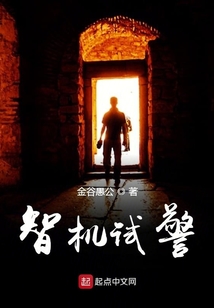 智機(jī)試警