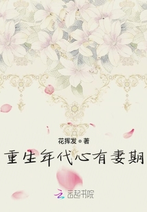 重生年代心有妻期